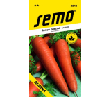 Semo Carrot Common Late Rubina 3 g