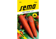 Semo Carrot Common Late Rubina 3 g