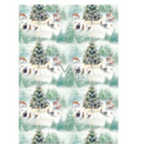 Ditipo Gift wrapping paper 70 x 200 cm Christmas white type 3