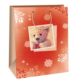 Ditipo Gift paper bag 32.4 x 10.2 x 44.5 cm teddy bear DXA 2291914
