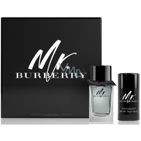 Mr. Burberry Burberry eau de toilette for men 100 ml + deodorant stick 75 g, gift set 2016