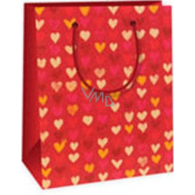 Ditipo Gift paper bag 11.4 x 6.4 x 14.6 cm red with hearts