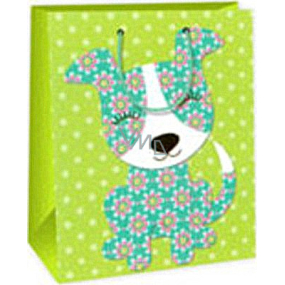 Ditipo Gift paper bag 26.4 x 13.7 x 32.4 cm light green male AB