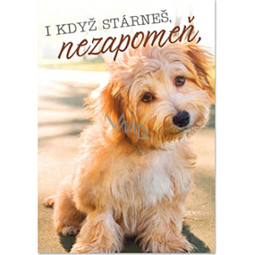 Ditipo Playing wishes Even as you get older, don't forget Petr Novák Friendship on the nth 224 x 157 mm