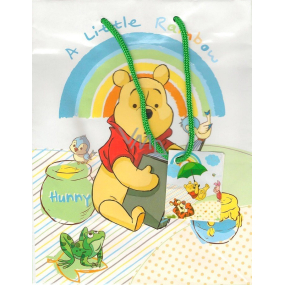 Ditipo Gift paper bag 32.5 x 13.5 x 26.3 cm Disney Winnie the Pooh And Little Rainbow