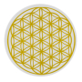 Masaru Emoto Alladin Family Carafe Gold Flower of Life 2.3 l To revitalize and revitalize weakened tap water