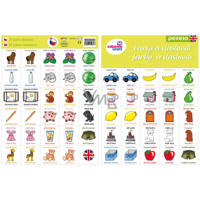 Ditipo Language memory Colors and features in English 297 x 222 mm