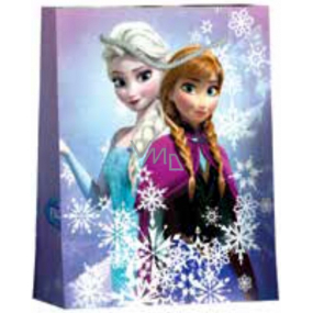 BSB Luxury gift paper bag 22.9 x 17.5 x 9.8 cm Frozen DT M