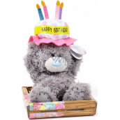 Me to You Teddy bear birthday hat 14 cm