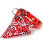B&F Leather collar with cotton scarf red 1.8 x 50 cm