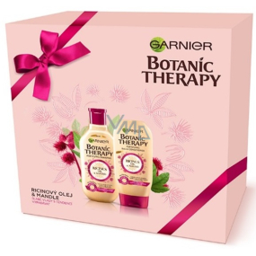 Garnier Botanic Therapy Ricinus Oil & Almond shampoo for weak hair with a tendency to fall out 250 ml + balm 200 ml, cosmetic set