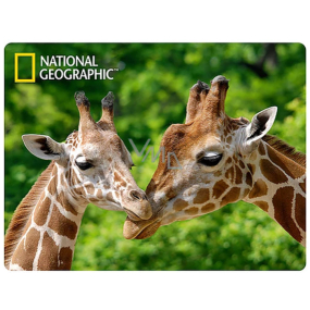 Prime3D postcard - Giraffe 16 x 12 cm