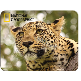 Prime3D magnet - Leopard 9 x 7cm