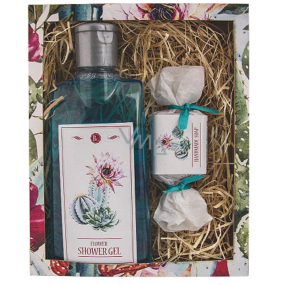 Bohemia Gifts Cactus olive and grape oil shower gel 200 ml + handmade soap 30 g cosmetic box