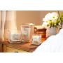 Yankee Candle Citrus Grove - Citrus Grove soy scented candle Elevation medium glass 3 wicks 347 g