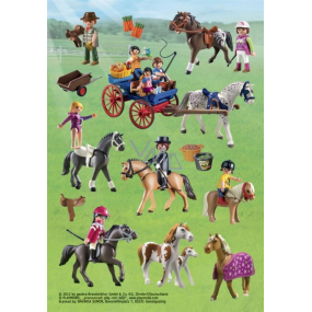 Herma Playmobil Decals to decorate, play, collect 5293