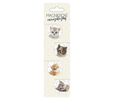 Albi Magnetic Mini Tabs Kittens diameter 3 cm 4 pieces
