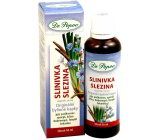 Dr. Popov Pancreas Spleen Original Herbal Drops 50 ml