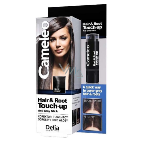 Delia Cosmetics Cameleo Hair & Root Concealer covers roots and gray hair Black 4.6g