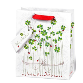 BSB Luxury gift paper bag 23 x 19 x 9 cm Four-leaf clover LDT 396 - A5