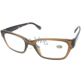 Berkeley Reading glasses +1.0 plastic brown, tiger side 1 piece ER4198