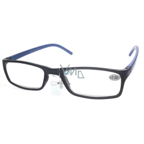 Berkeley Reading glasses +1.0 plastic black blue side 1 piece MC2 ER4045