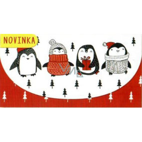 Nekupto Greeting card envelope for money Christmas 116 x 220 mm Penguins