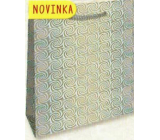Nekupto Gift Paper Bag Hologram 32 x 26 x 13 cm Silver 123 02 THL