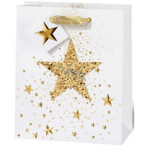 BSB Luxury gift paper bag 23 x 19 x 9 cm Christmas white with 3D star VDT 426-A5