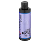 Professional Hair Care Destivii Silver shampoo for blonde hair 200 ml