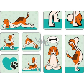 Albi Set of epoxy magnets Dog yoga 9 pieces 9.2 cm x 6.6 cm x 1 cm