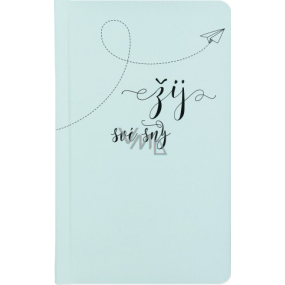 Albi Diary 2021 Pocket Weekly Live Your Dreams 15.5 x 9.5 x 1.2 cm