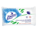 Linteo Bathroom wet wipes 40 pieces, 180 x 200 mm