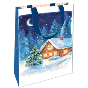 Nekupto Gift paper bag with embossing 17.5 x 11 x 8 cm Christmas blue with cottage WLFS 1988