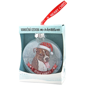 Albi Glass Christmas ornament with animals - Stafford Bull Terrier 7.5 cm x 8 cm x 3.6 cm