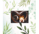 Albi Photo Album Neutral Sheets 25 Sheets 24 x 25 cm
