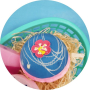 Bomb Cosmetics Hula Hula Bath Blaster 160g