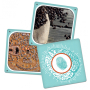 Albi Cortex + a great smart board game recommended age 8+