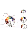 7 Chakras Tree of Life pendant natural stone, healing 5 cm