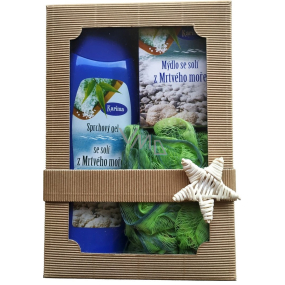 Karima Dead Sea shower gel with Dead Sea salt 280 ml + toilet soap with Dead Sea salt 100 g + massage washcloth, cosmetic set
