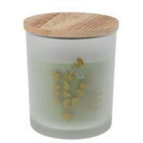 Emocio Eucalyptus - Eucalyptus scented candle in glass with wooden lid 88 x 100 mm 1 piece
