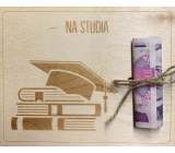 Albi Wooden money card For studies 15,5 x 12,5 x 0,3 cm