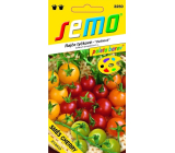 Seed Tomato Cherry Mixed Colours 10 seeds