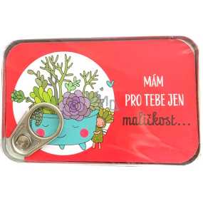 Albi Tin money pouch I have just a little something for you... 11 x 7 cm