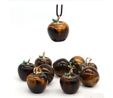 Tiger's Eye Apple of Knowledge Pendant, natural stone 2,7 x 15 mm, sun and earth stone, brings good luck and wealth
