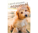 Ditipo Playing cards Even when you grow old, don't forget Petr Novák Friendship on the nth 224 x 157 mm
