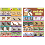 Ditipo Pexeso Wild Animals 297 x 222 mm