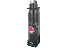 Epee Merch Pokémon stainless steel thermo bottle black 580 ml