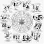 Charm Sterling silver 925 Zodiac sign Sparkling Capricorn, bead for bracelet