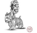 Charm Sterling Silver 925 Dog - Yorkshire Terrier - Yorkie, Animal Bracelet Pendant